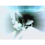 Zdjęcia użytkowników Samsung SGH-D900i Zdjęcia użytkowników Samsung SGH-D900i