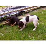 Zdjęcia użytkowników Samsung SGH-D900i Zdjęcia użytkowników Samsung SGH-D900i