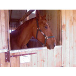 Zdjęcia użytkowników Samsung SGH-D900i Zdjęcia użytkowników Samsung SGH-D900i