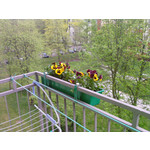 Zdjęcia użytkowników Samsung SGH-D900i Zdjęcia użytkowników Samsung SGH-D900i