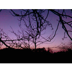 Zdjęcia użytkowników Samsung SGH-D900i Zdjęcia użytkowników Samsung SGH-D900i