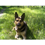 Zdjęcia użytkowników Samsung SGH-E250