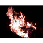 Zdjęcia użytkowników Samsung SGH-E250