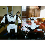 ZDJĘCIA Z TEGO TELEFONU