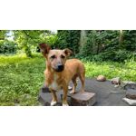 Zdjęcia użytkowników Samsung Galaxy A16 5G Zdjęcia użytkowników Samsung Galaxy A16 5G