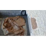 Zdjęcia użytkowników Samsung Galaxy A16 5G Zdjęcia użytkowników Samsung Galaxy A16 5G