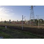 Zdjęcia użytkowników Samsung Galaxy A55 5G