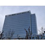 Zdjęcia użytkowników Samsung Galaxy A55 5G
