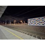 Zdjęcia użytkowników Samsung Galaxy A55 5G