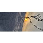 ZDJĘCIA Z TEGO TELEFONU