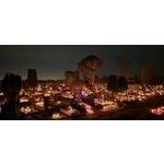 Zdjęcia użytkowników Samsung Galaxy S24 FE Zdjęcia użytkowników Samsung Galaxy S24 FE