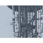 Zdjęcia użytkowników Samsung Galaxy S25 Ultra