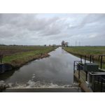 ZDJĘCIA Z TEGO TELEFONU