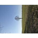 ZDJĘCIA Z TEGO TELEFONU