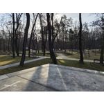 Zdjęcia użytkowników Samsung Galaxy S26