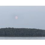 Zdjęcia użytkowników Samsung Galaxy Z Fold7