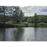 Zdjęcia użytkowników Samsung Galaxy Z Fold7