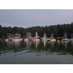 Zdjęcia użytkowników Samsung Galaxy Z Fold7