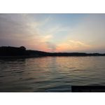 Zdjęcia użytkowników Samsung Galaxy Z Fold7