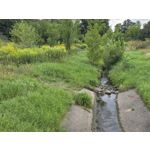 Zdjęcia użytkowników Samsung Galaxy Z Fold7