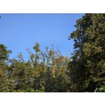 Zdjęcia użytkowników Samsung Galaxy Z Fold7