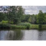 Zdjęcia użytkowników Samsung Galaxy Z Fold7