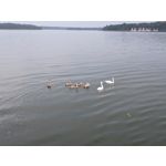 Zdjęcia użytkowników Samsung Galaxy Z Fold7