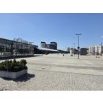 Zdjęcia użytkowników Samsung Galaxy Z Fold7