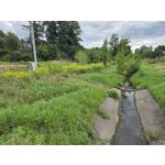 Zdjęcia użytkowników Samsung Galaxy Z Fold7