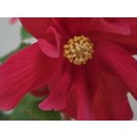 Zdjęcia użytkowników Samsung Galaxy Z Fold7