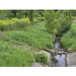 Zdjęcia użytkowników Samsung Galaxy Z Fold7