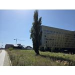 Zdjęcia użytkowników Samsung Galaxy Z Fold7