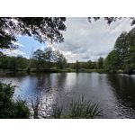 Zdjęcia użytkowników Samsung Galaxy Z Fold7