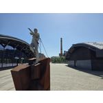 Zdjęcia użytkowników Samsung Galaxy Z Fold7