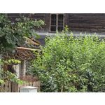 Zdjęcia użytkowników Samsung Galaxy Z Fold7