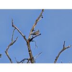 Zdjęcia użytkowników Samsung Galaxy Z Fold7