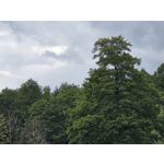 Zdjęcia użytkowników Samsung Galaxy Z Fold7