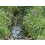 Zdjęcia użytkowników Samsung Galaxy Z Fold7