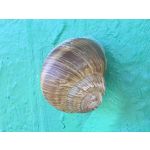 Zdjęcia użytkowników Samsung Galaxy Z Fold7