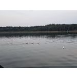 Zdjęcia użytkowników Samsung Galaxy Z Fold7