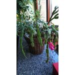 ZDJĘCIA Z TEGO TELEFONU