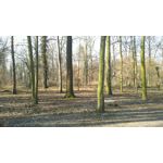 ZDJĘCIA Z TEGO TELEFONU