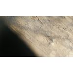 Zdjęcia użytkowników Sharp Aquos P1