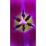 ZDJĘCIA Z TEGO TELEFONU