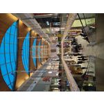 ZDJĘCIA Z TEGO TELEFONU