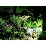 Zdjęcia użytkowników Sharp Aquos V