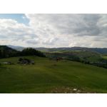 ZDJĘCIA Z TEGO TELEFONU