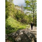 ZDJĘCIA Z TEGO TELEFONU