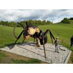 Zdjęcia użytkowników Sharp Aquos V