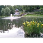 ZDJĘCIA Z TEGO TELEFONU